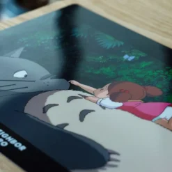 Maison Ghibli Storage-A4 Size Clear Folder On The Tummy - My Neighbour Totoro