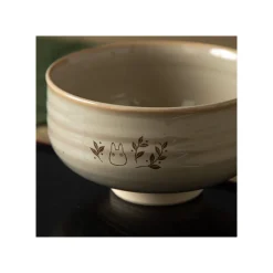 Maison Ghibli Kitchenware-Akahada-Yaki Matcha Tea Bowl & Whisk - My Neighbor Totoro