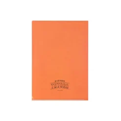 Maison Ghibli Storage-Art Deco Clear Folder A4 - My Neighbor Totoro
