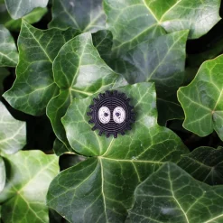 Maison Ghibli Pins-Embroidered Jewel Brooch Soot Sprite - My Neighbor Totoro