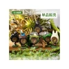 Maison Ghibli Figurines-Pose Collection Totoro Assortment Of 6 Rings - My Neighbor Totoro