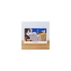 Maison Ghibli Postcards And Letter Papers-Postcard Porco Rosso - Porco Rosso